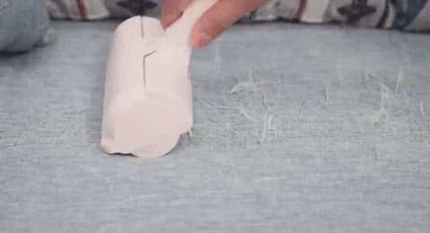 FurFree® - Rolo Removedor de Pelos de Pet